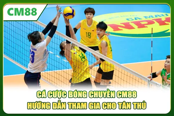 Cá Cược Bóng Chuyền CM88 - Hướng Dẫn Tham Gia Cho Tân Thủ