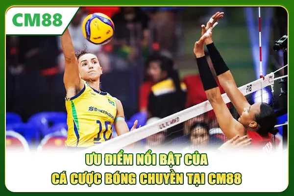 Ưu điểm nổi bật của cá cược bóng chuyền tại CM88